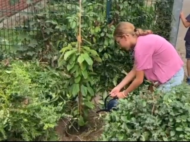 Mehr über den Artikel erfahren Baumchallenge